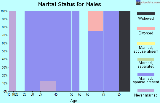 Leighton marital status for males