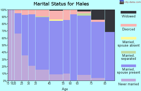 Le Mars marital status for males