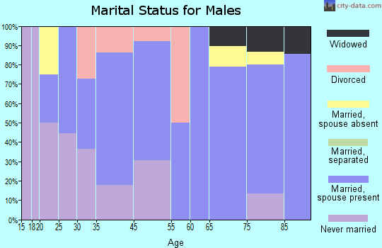 Lime Springs marital status for males