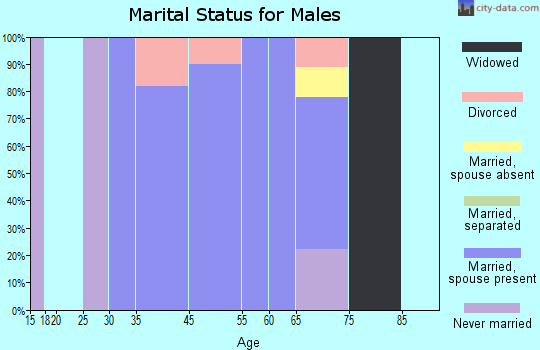 Lincoln marital status for males