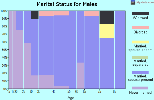 Little Rock marital status for males