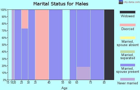 Lone Rock marital status for males