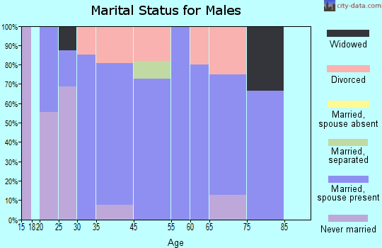 Lorimor marital status for males