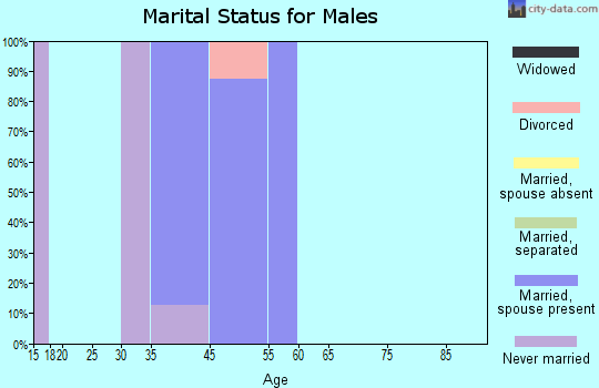 Port Alexander marital status for males