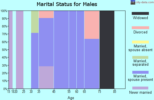 McIntire marital status for males