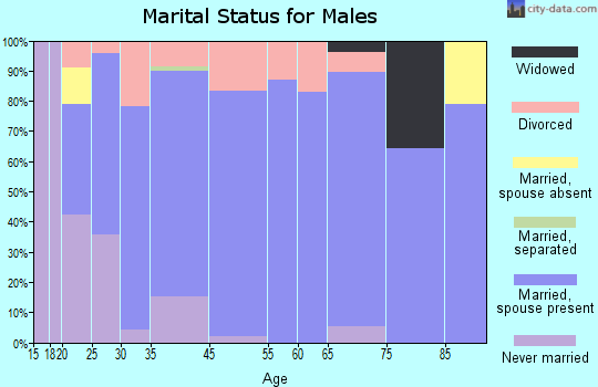 Madrid marital status for males