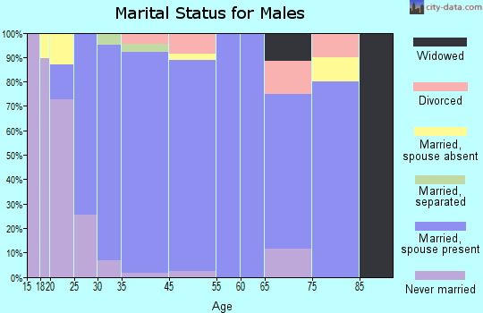 Chalkville marital status for males
