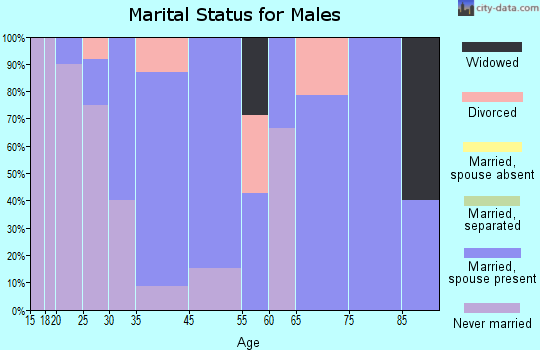 Marble Rock marital status for males