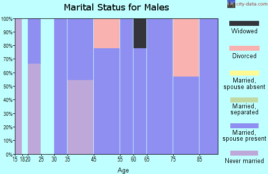 Meriden marital status for males