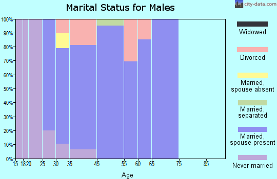 Minburn marital status for males