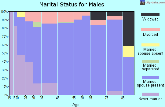 Mount Ayr marital status for males