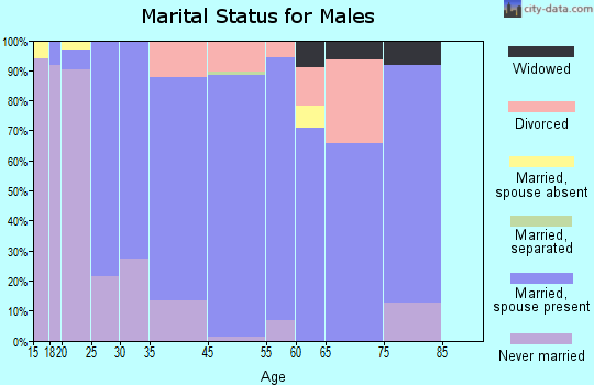 Mount Vernon marital status for males