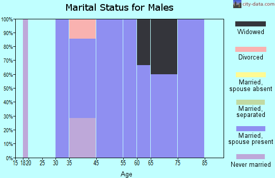Nodaway marital status for males