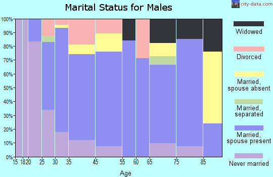 Nora Springs marital status for males