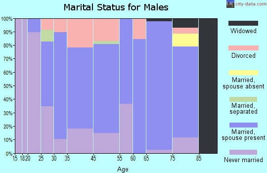 North English marital status for males