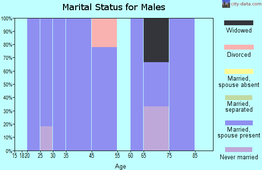 North Washington marital status for males