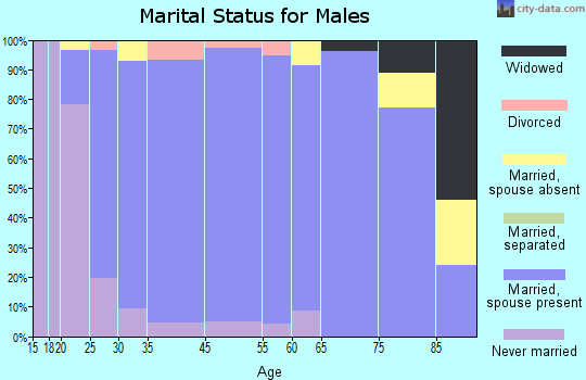 Orange City marital status for males
