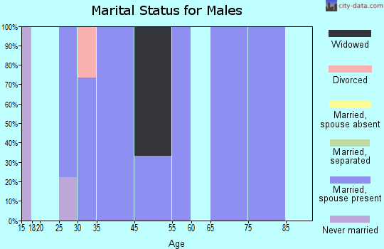 Panorama Park marital status for males