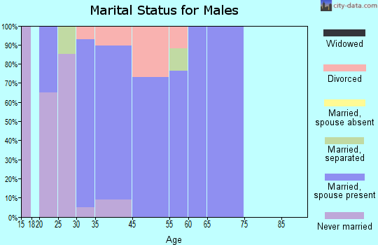 Park View marital status for males