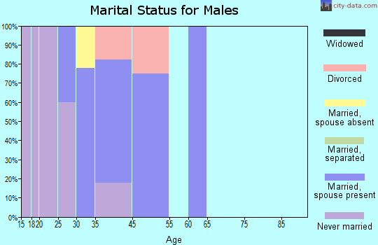 St. George marital status for males