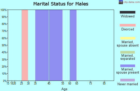 Pioneer marital status for males