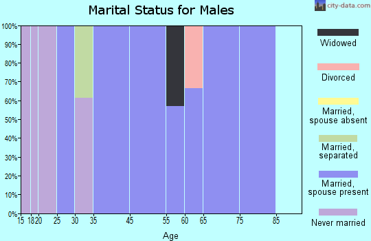 Pleasant Plain marital status for males