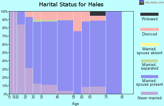 Polk City marital status for males