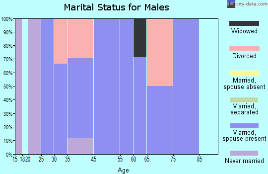 Prairieburg marital status for males