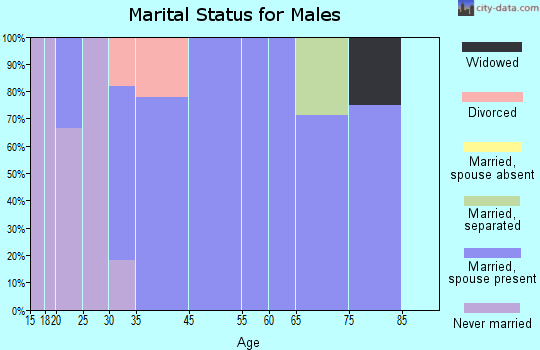 Pulaski marital status for males