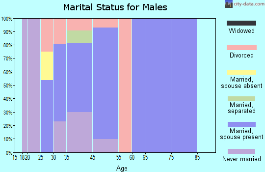Salcha marital status for males