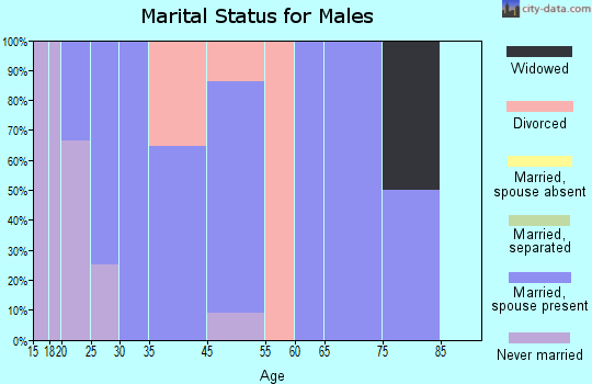 Rembrandt marital status for males