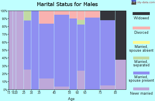 Riceville marital status for males