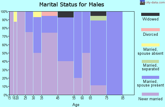Savoonga marital status for males