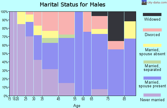 Rockwell City marital status for males