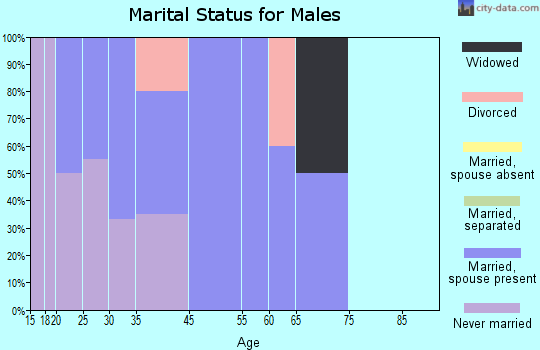 Sageville marital status for males