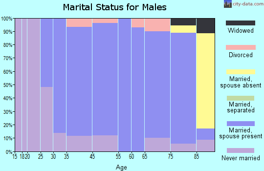 St. Ansgar marital status for males