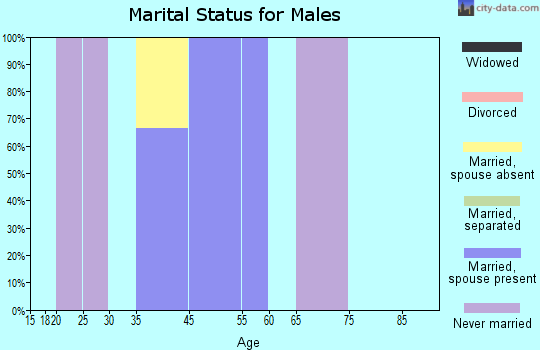 Sandyville marital status for males