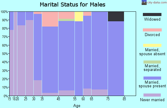 Saylorville marital status for males