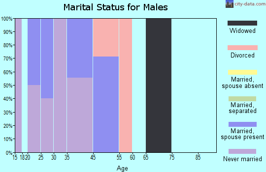 Shannon City marital status for males