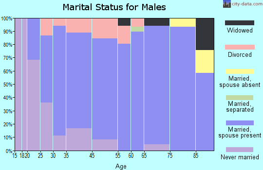 Sheldon marital status for males