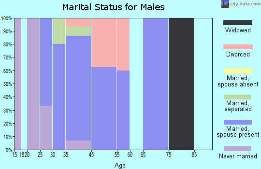 Shueyville marital status for males