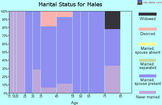 Silver City marital status for males