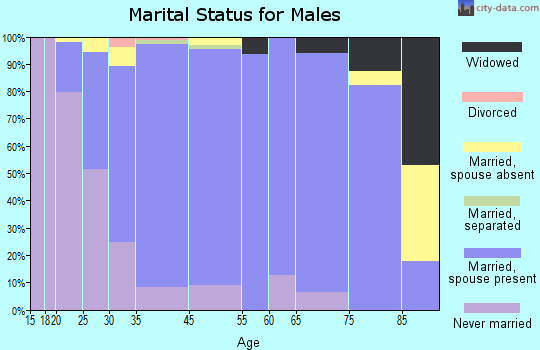 Sioux Center marital status for males