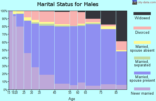 Sioux City marital status for males