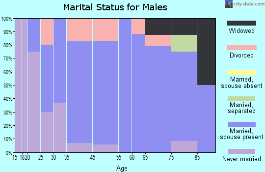 Sloan marital status for males
