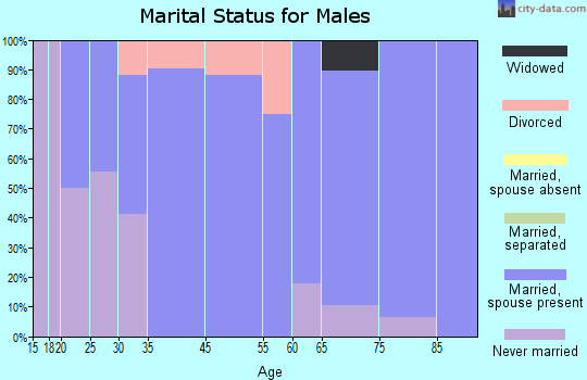 Spillville marital status for males