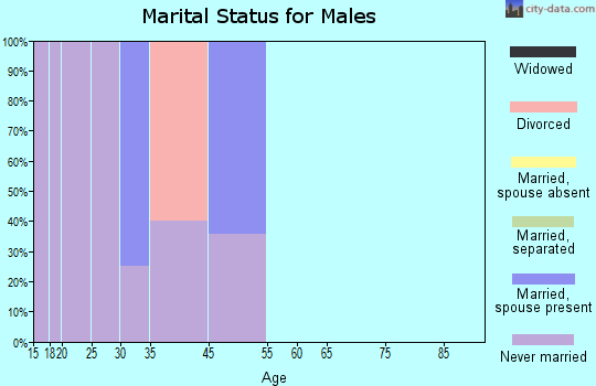 Shageluk marital status for males