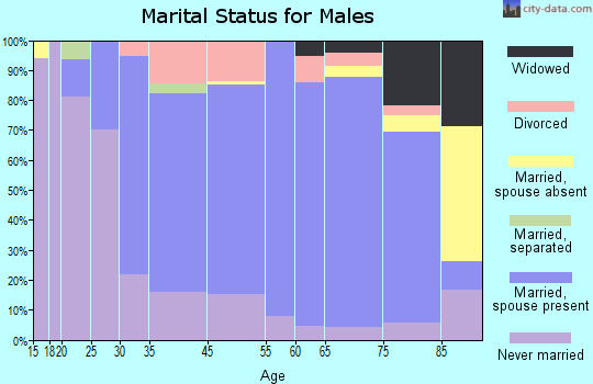 Spirit Lake marital status for males