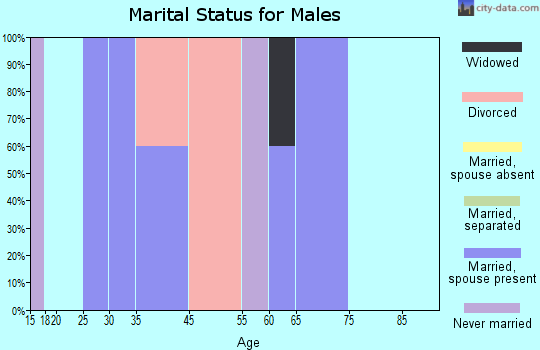 Spring Hill marital status for males