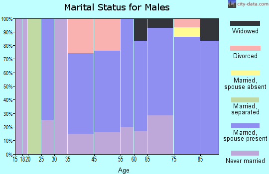 Stacyville marital status for males